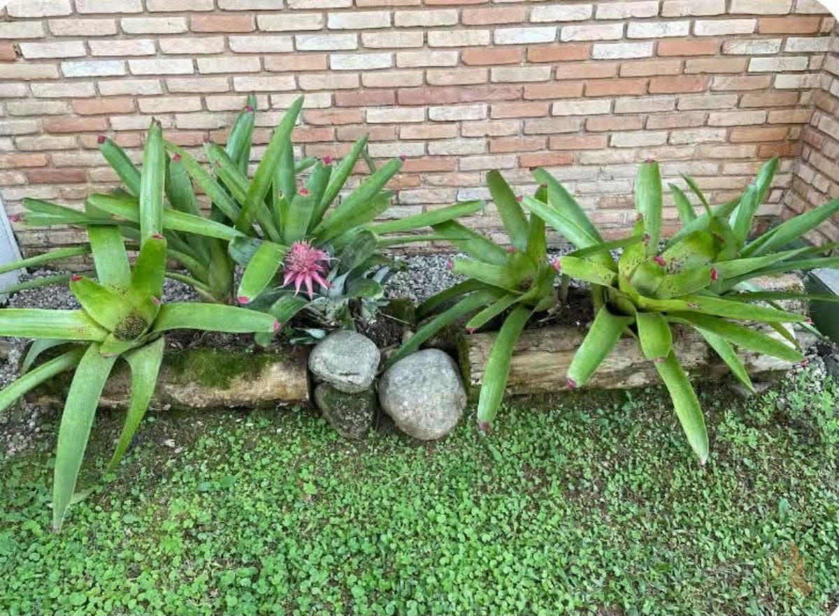 Prédio Inteiro, 90 m² - Foto 8